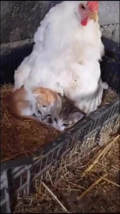 Momma being a momma