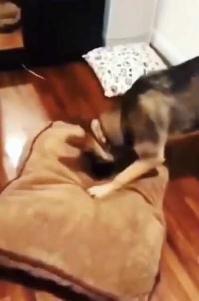 Maybe maybe maybe