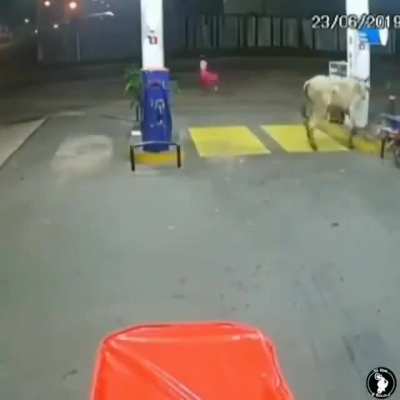 Indian mayhem