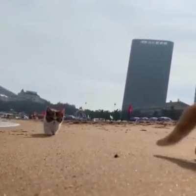 It's beach time!