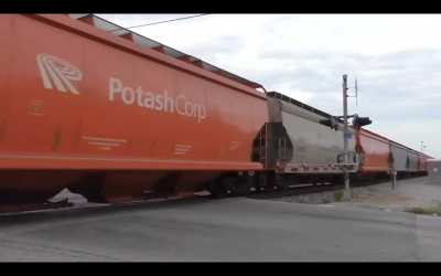 Don't try to beat the train. No one died.