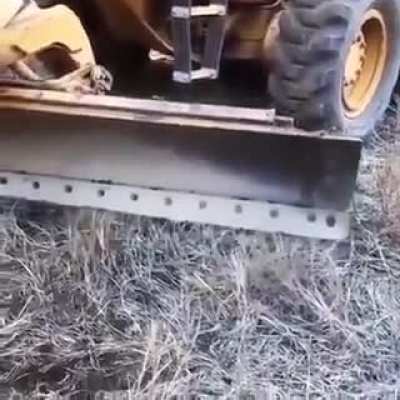 He is learning