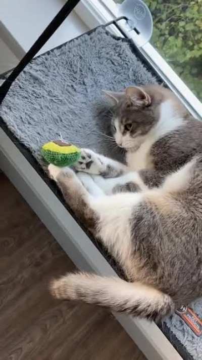 Wait! Where&rsquo;d it go??