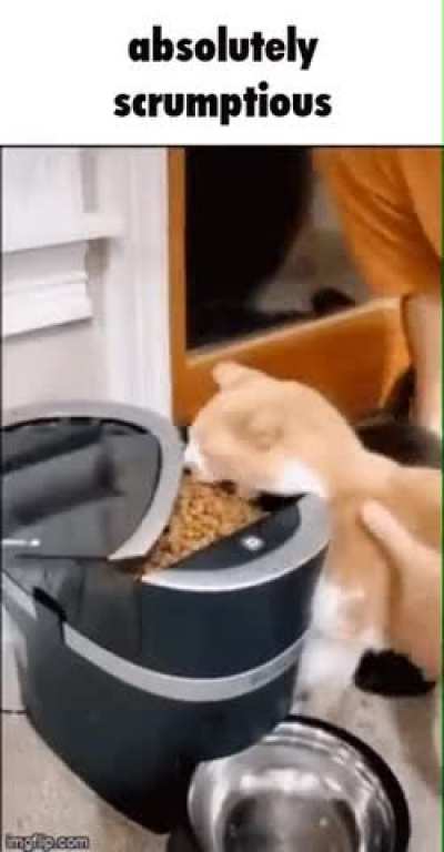 Absolutely scrumptious rule