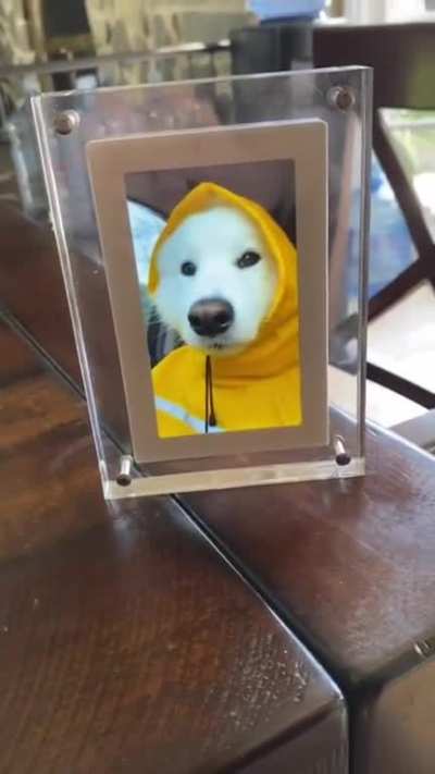 Yes... this is me in the video!