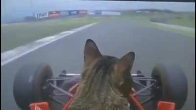 F1 Ferrari pilot