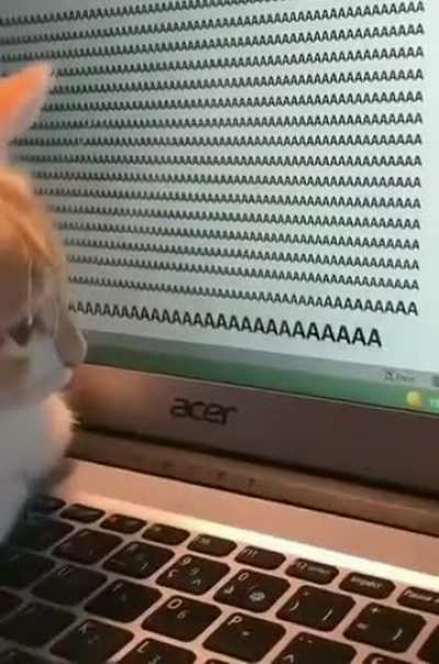 !