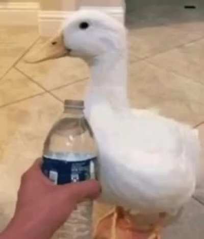 {