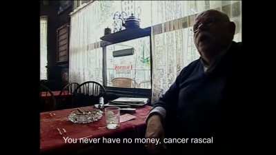 Rotterdammer wildlife documentary