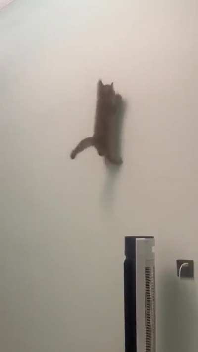 Chasing a laser around