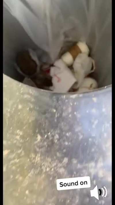 Lady goes nuts