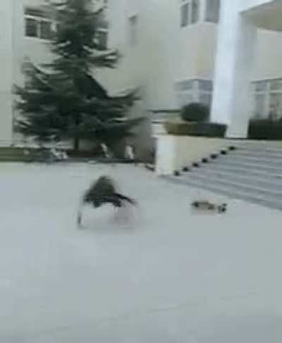 rare footage of El Goblino skating