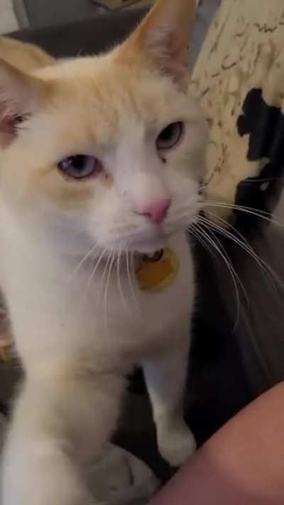 Jos&egrave; is displeased with the level of attention he's receiving from his co-worker