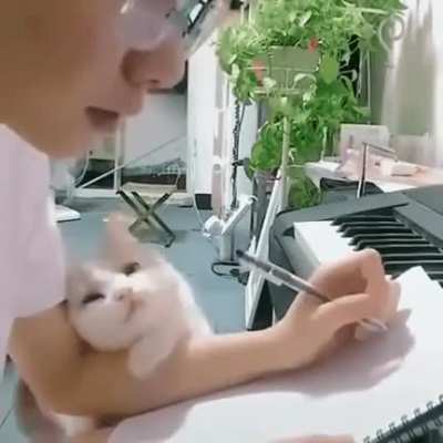 If you find a significant other that looks at you like this cat marry them.