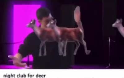 Clammy Deer