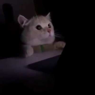When you accidentally turn on light mode