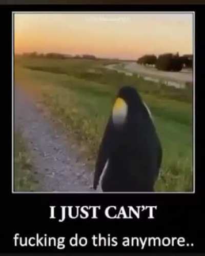 Same