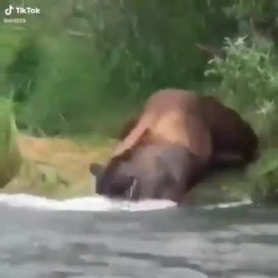 Nice catch