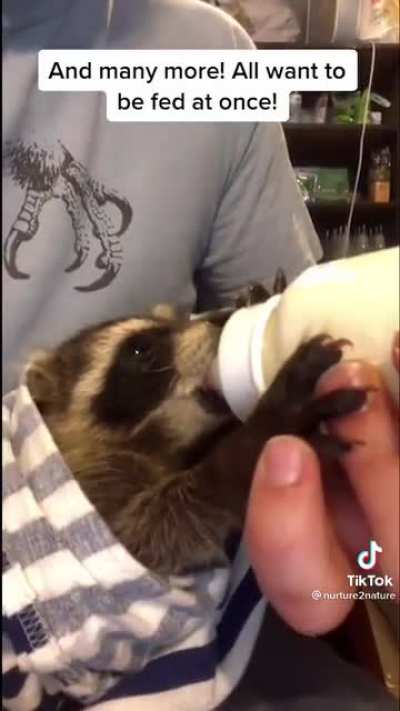 Got milk?