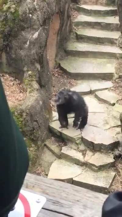 Just another day at the zoo