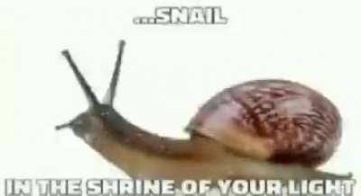 Snurch