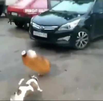 bada boom