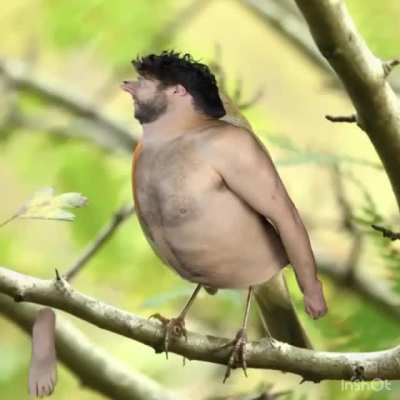 cursed_Nature Porn