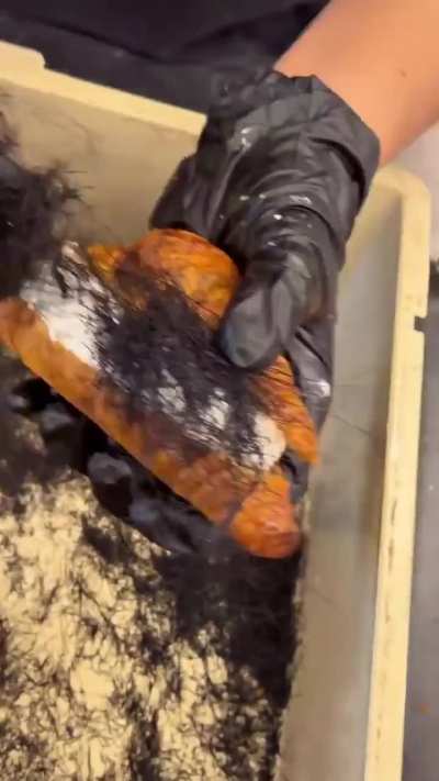 blursed croissant