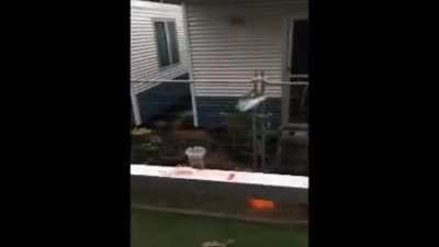 mAn KiLls wIldLife
