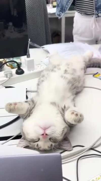 It&rsquo;s time for a nap during office hours