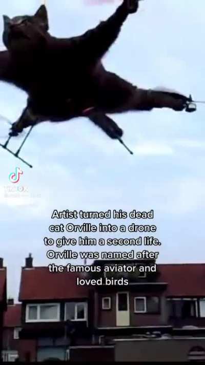 Orville, Menace of the Skies, Terrified of Livestock, Sin against the Lord