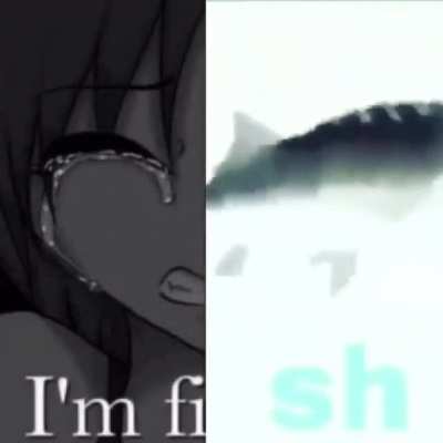 She's fish