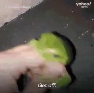 Hungry boy