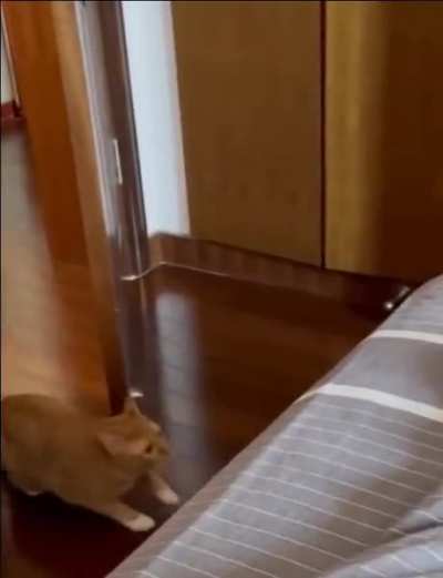 The perfect jump