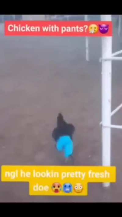 Obama gave him pants caw caw