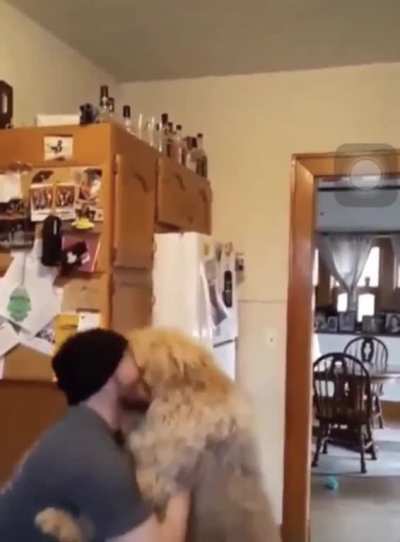Dog says: It&rsquo;s my turn! ...I want again!