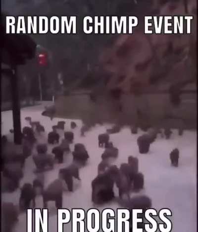 🙈🙈🙈