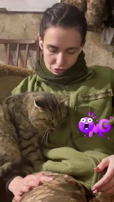 No operational update from our "witch" today. Just a video of her resting with her cat 💙💛