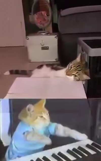 The real talent