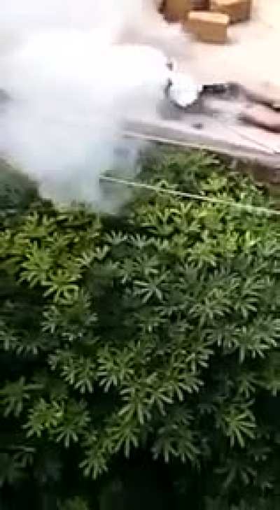 Consequences for stealing electricity