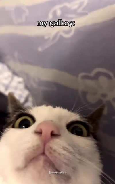 feet pics 20 bucks