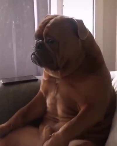 &ldquo;Seriously man, why are we still watching this?&rdquo;