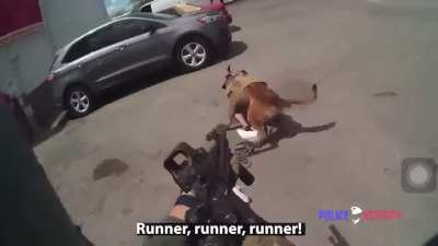 SWAT officers shoot suspect after aiming gun at K9&rsquo;s Head! NSFW!!
