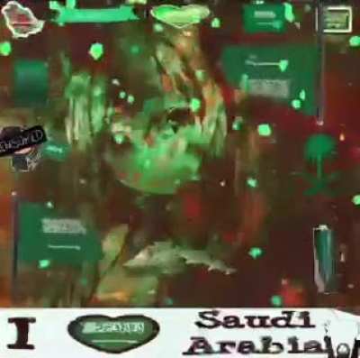 ☝️🗣️🫵🇸🇦