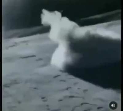que foi negão??