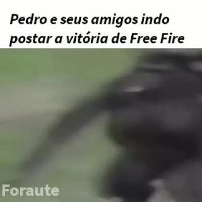 Pedro 😓