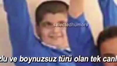 Hocam...