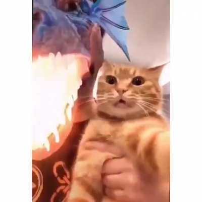 where did he go