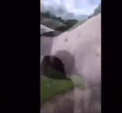 Thats a Small Ass Horse