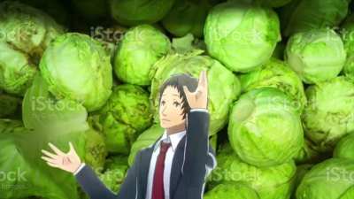 Bitches and Cabbages